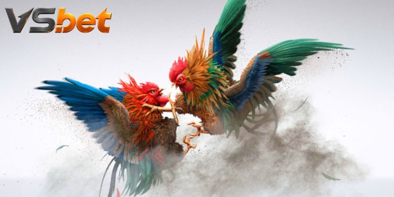 Ba chỉ báo làm rõ biến chuyển của thế trận