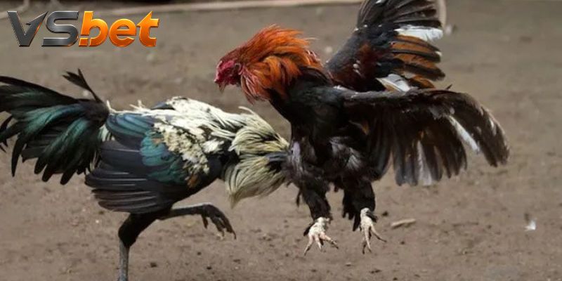 Bảng trước khóa và luồng sau khóa được tách rõ