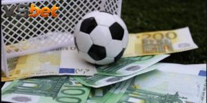 Kèo 0.25 Bundesliga: Cách Chia Tiền Và Thanh Toán Chuẩn