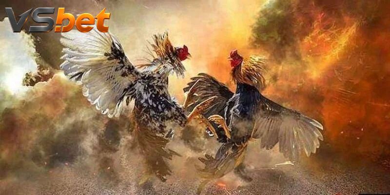 Phiếu nhiều trận kết hợp nhiều sự kiện