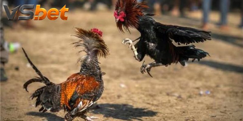 Giá cửa trên dưới thay đổi theo thời điểm