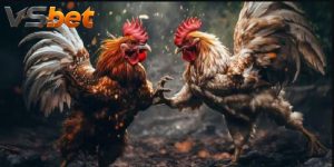 Đá Gà Yellow Leg: Đặc Điểm Chân Vàng Và Cách So Kèo Cụ Thể