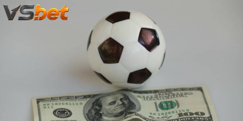 Tỷ lệ live của Eredivisie và cách chọn mức cược phù hợp